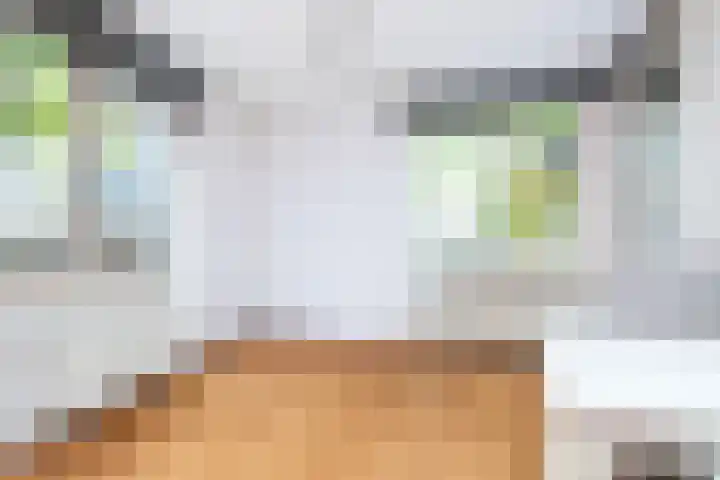 Zuiderkerktrappen 2 Nijmegen thumbnail 6