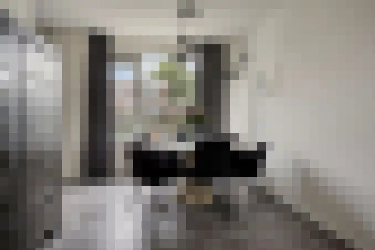 Zuiderkroon 19 Hoogezand thumbnail 12