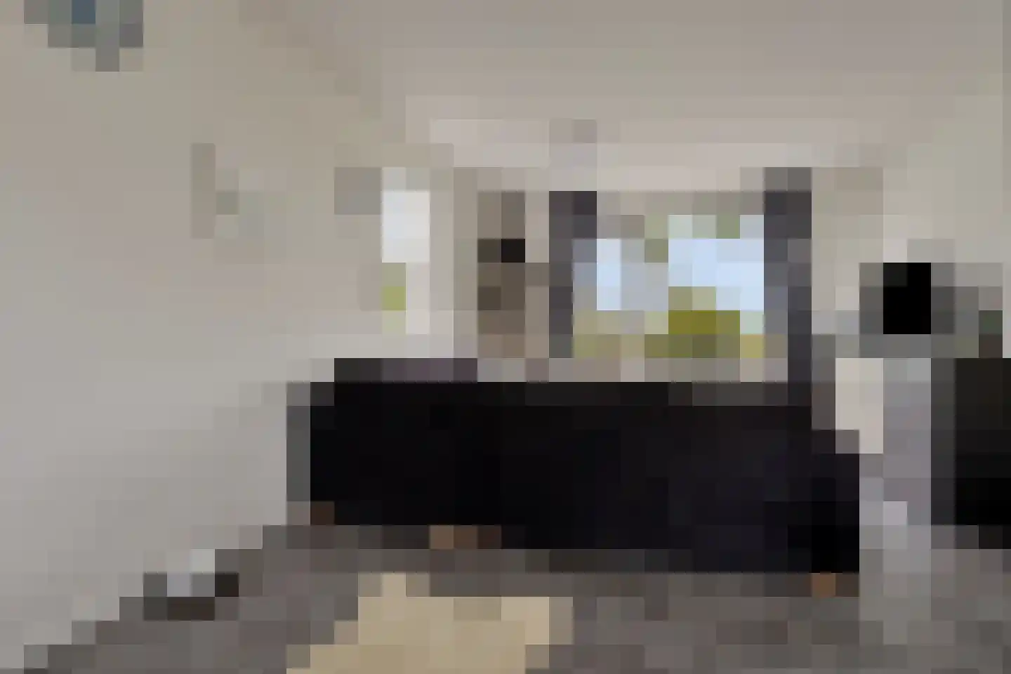 Zuiderkroon 19 Hoogezand thumbnail 13