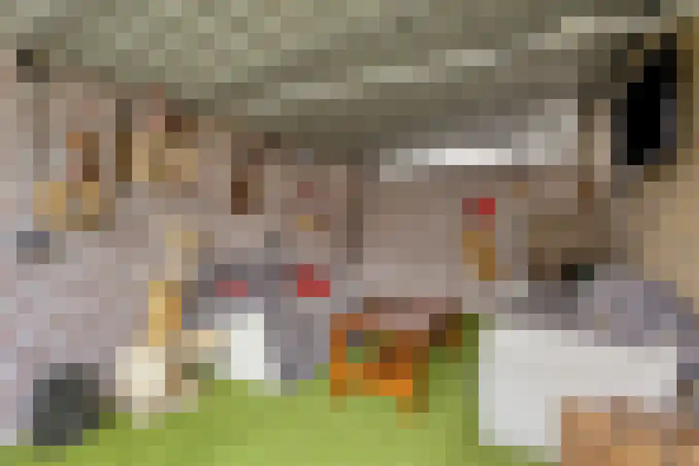 Zuiderkroon 19 Hoogezand thumbnail 29