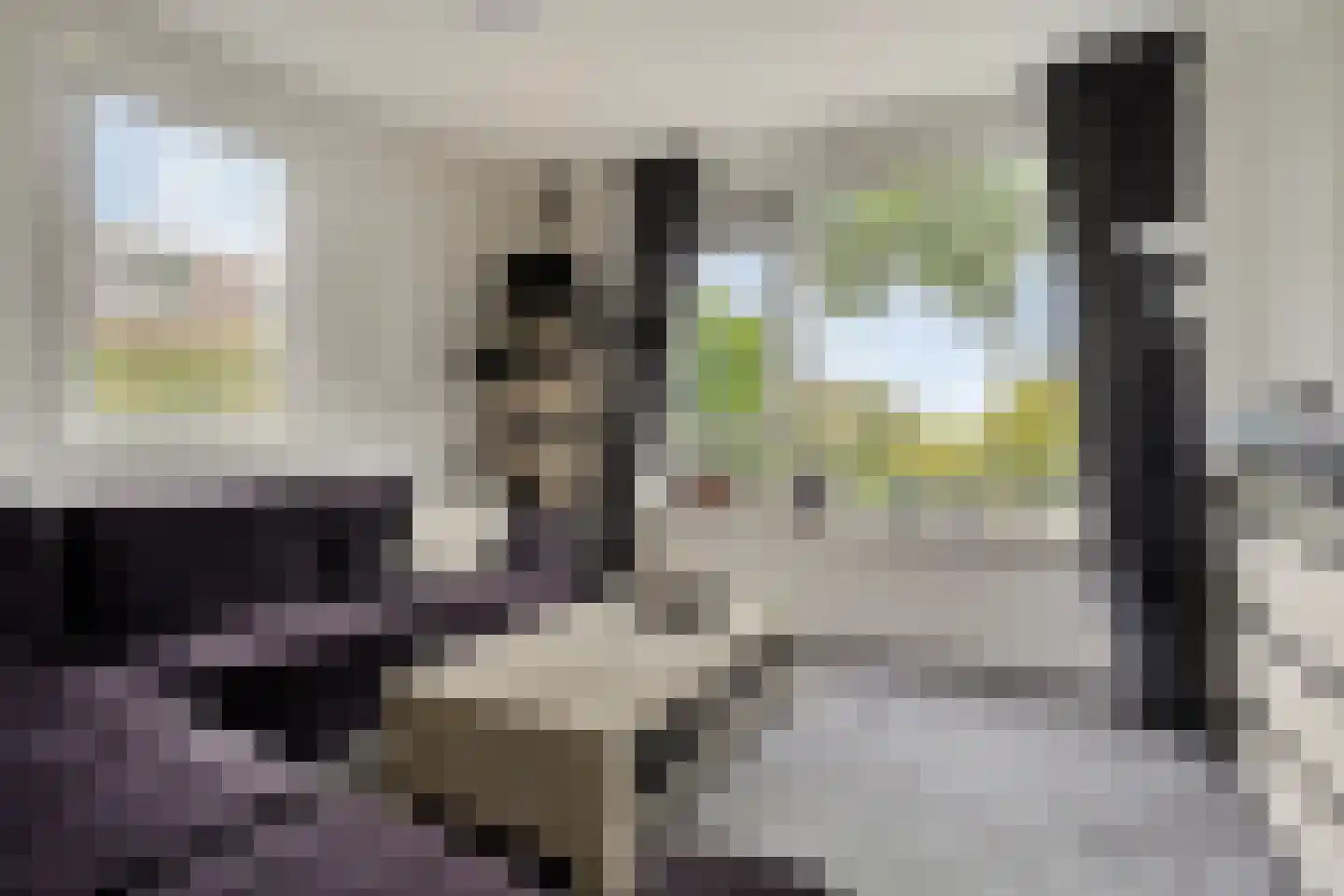 Zuiderkroon 19 Hoogezand thumbnail 9