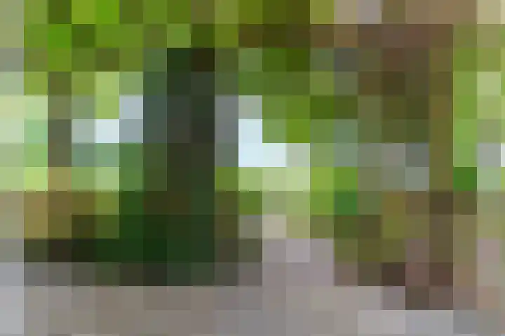 Zuiderkroon 23 Hoogezand thumbnail 11