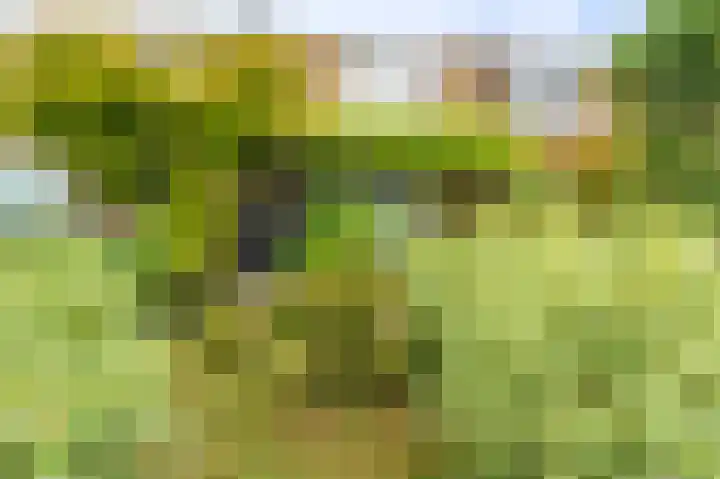 Zuiderkroon 23 Hoogezand thumbnail 13