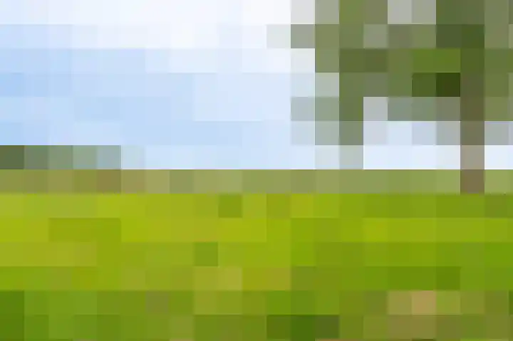 Zuiderkroon 23 Hoogezand thumbnail 9