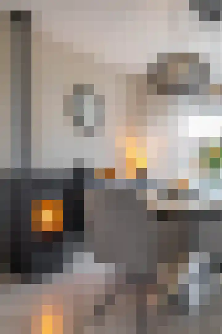 Zuiderkroon 5 Hoogezand thumbnail 11