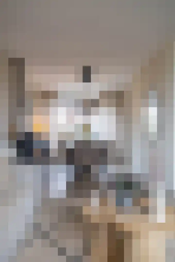 Zuiderkroon 5 Hoogezand thumbnail 13