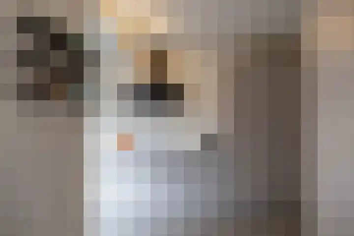 Zuiderkroon 5 Hoogezand thumbnail 15