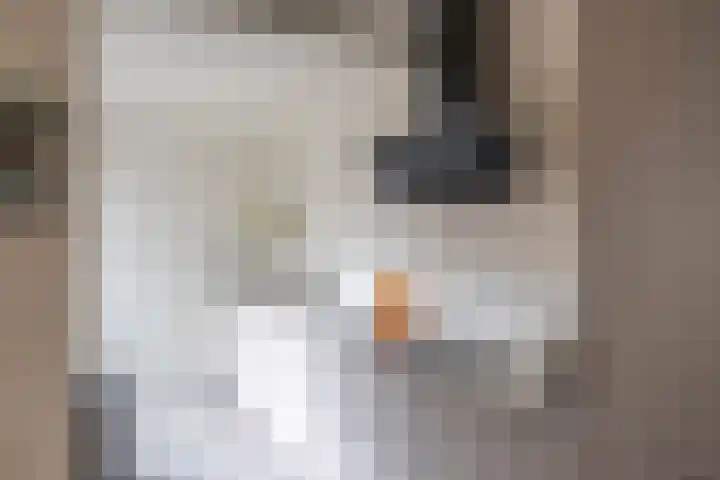 Zuiderkroon 5 Hoogezand thumbnail 16
