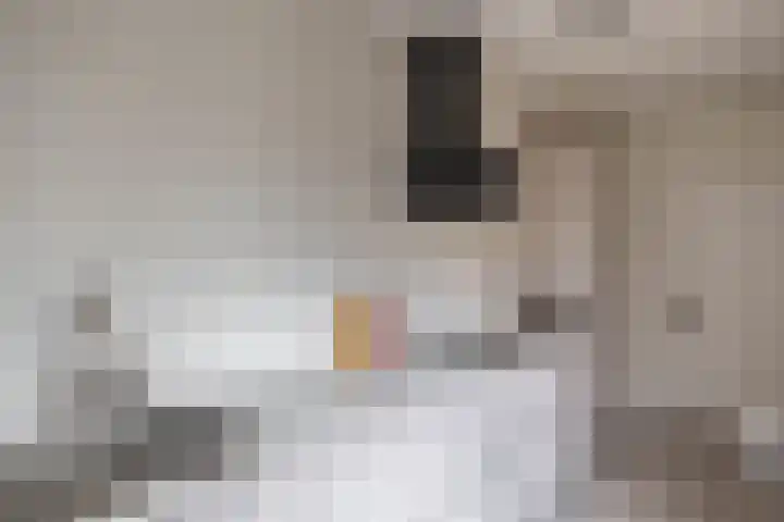 Zuiderkroon 5 Hoogezand thumbnail 17