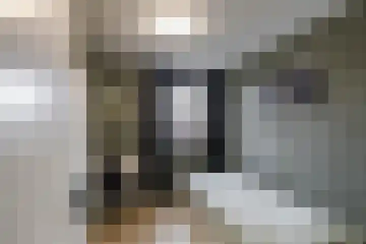 Zuiderkroon 5 Hoogezand thumbnail 27
