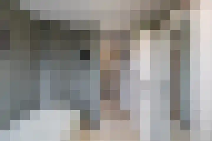 Zuiderkroon 5 Hoogezand thumbnail 28