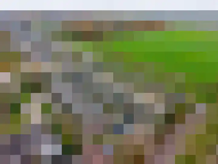 Zuiderkroon 5 Hoogezand thumbnail 38