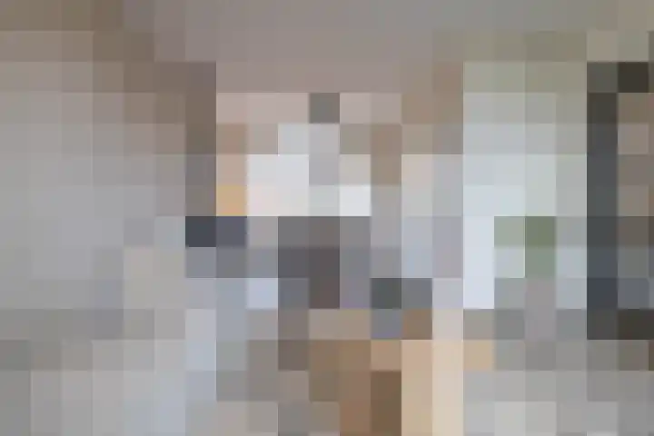 Zuiderkroon 5 Hoogezand thumbnail 8