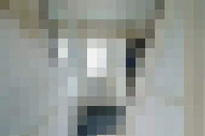 Zuiderkruis 1 Amersfoort thumbnail 19
