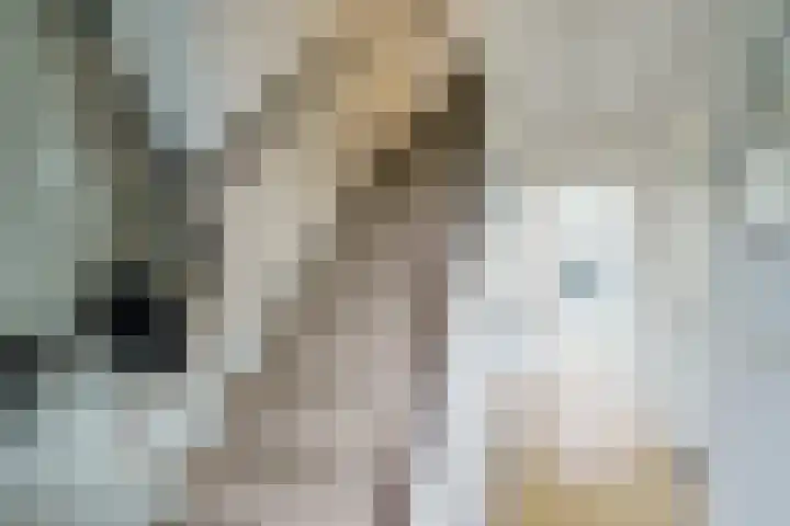 Zuiderkruis 1 Amersfoort thumbnail 20
