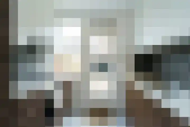 Zuiderkruis 1 Amersfoort thumbnail 4