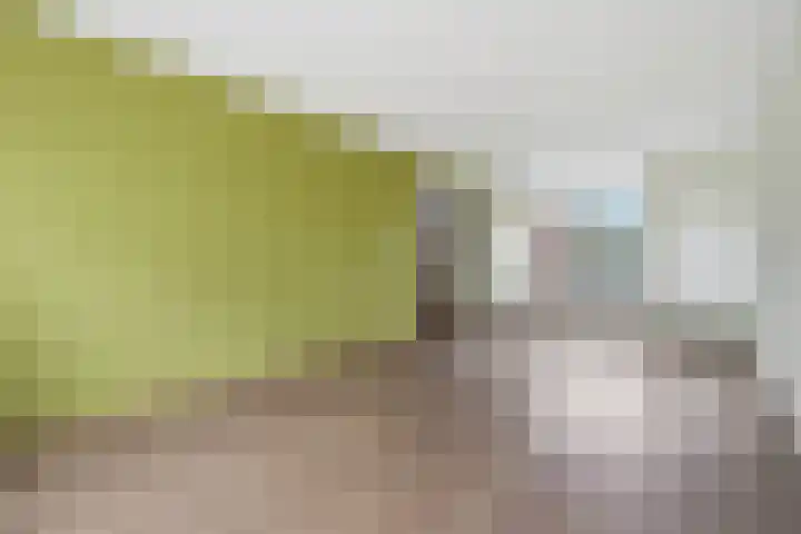 Zuiderkruis 1 Klazienaveen thumbnail 6