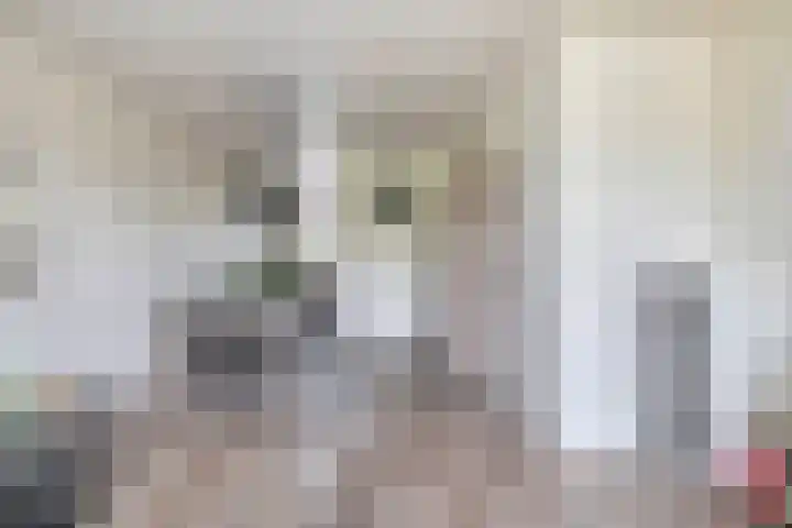Zuiderkruis 1 Lisse thumbnail 10