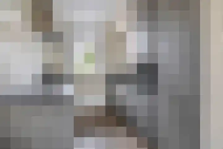 Zuiderkruis 1 Lisse thumbnail 12
