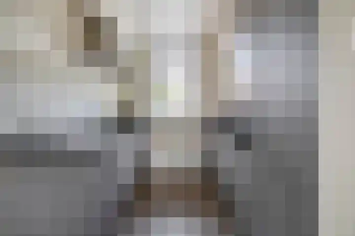 Zuiderkruis 1 Lisse thumbnail 13