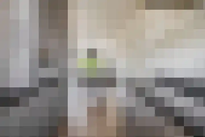 Zuiderkruis 1 Lisse thumbnail 15