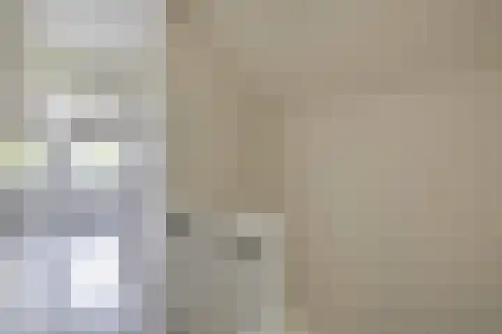 Zuiderkruis 1 Lisse thumbnail 18