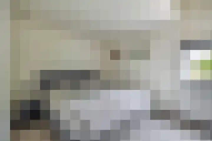 Zuiderkruis 1 Lisse thumbnail 19