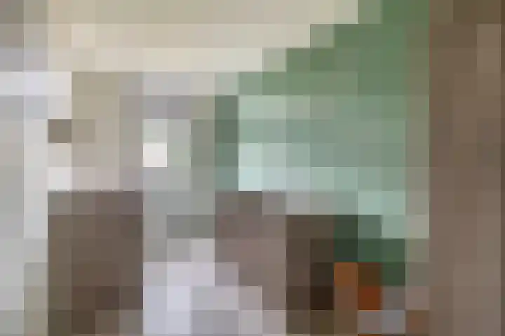 Zuiderkruis 1 Lisse thumbnail 23