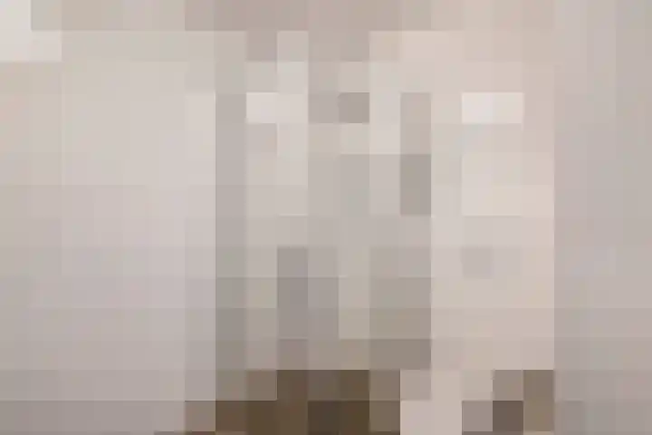 Zuiderkruis 1 Lisse thumbnail 26