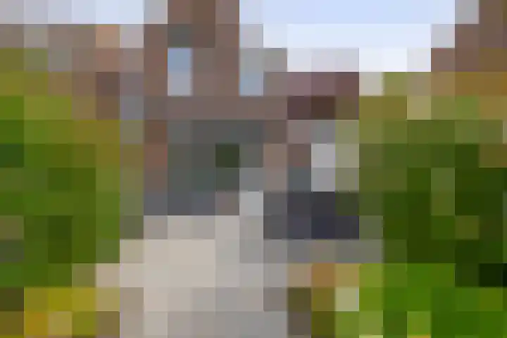Zuiderkruis 1 Lisse thumbnail 29