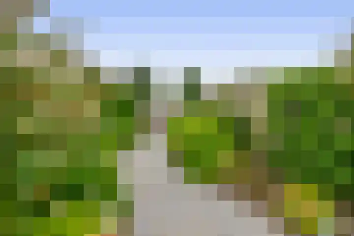 Zuiderkruis 1 Lisse thumbnail 33