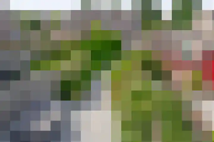 Zuiderkruis 1 Lisse thumbnail 35