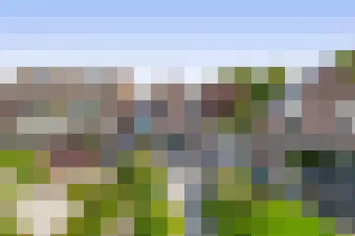 Zuiderkruis 1 Lisse thumbnail 36