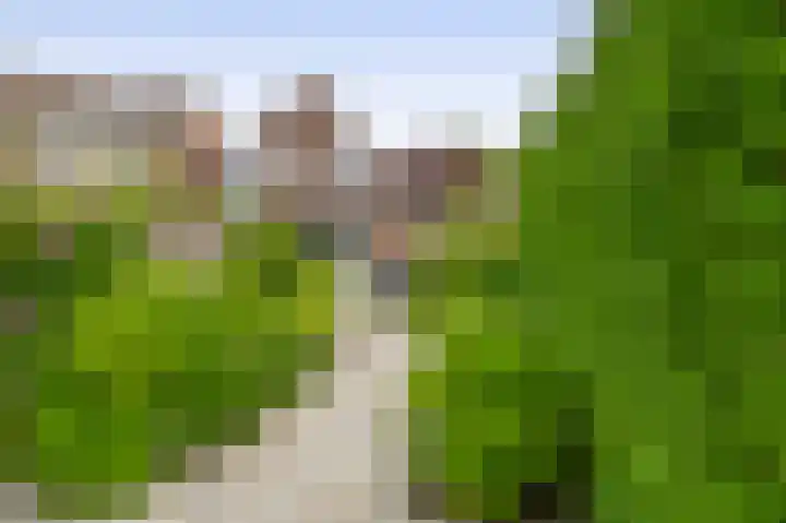 Zuiderkruis 1 Lisse thumbnail 37