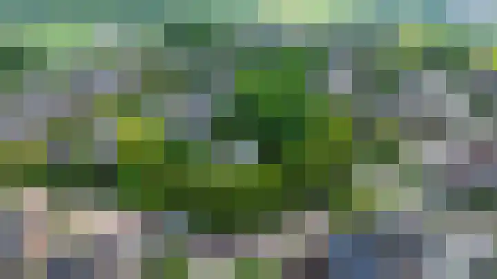 Zuiderkruis 1 Lisse thumbnail 39