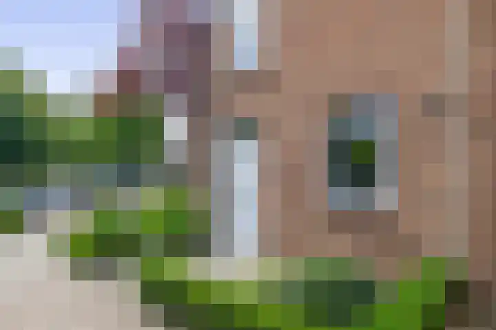 Zuiderkruis 1 Lisse thumbnail 4