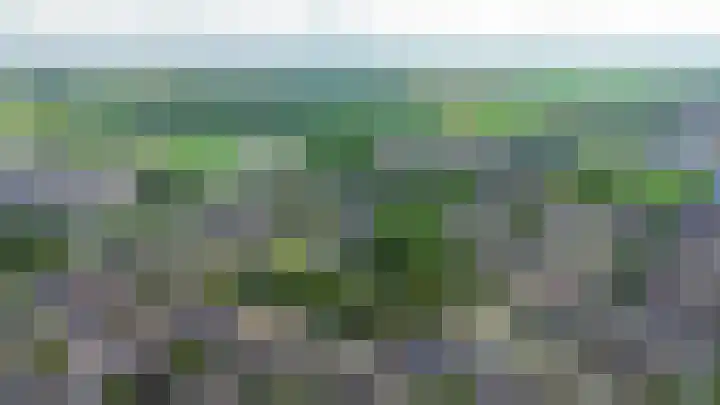 Zuiderkruis 1 Lisse thumbnail 40