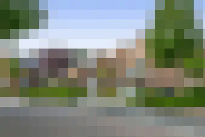 Zuiderkruis 1 Lisse thumbnail 41
