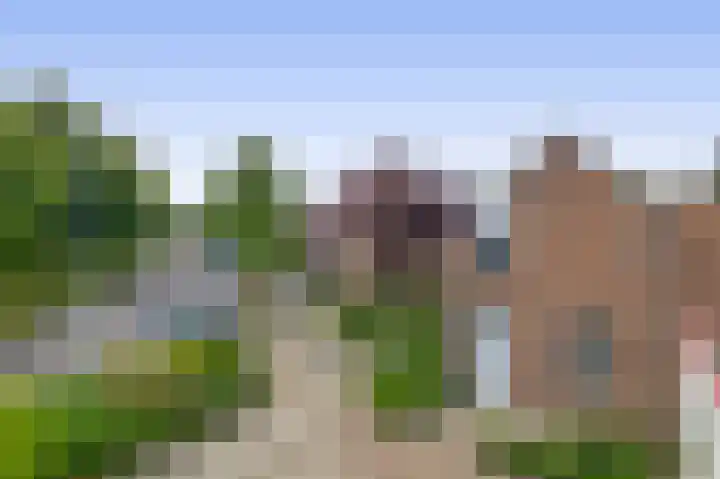 Zuiderkruis 1 Lisse thumbnail 42