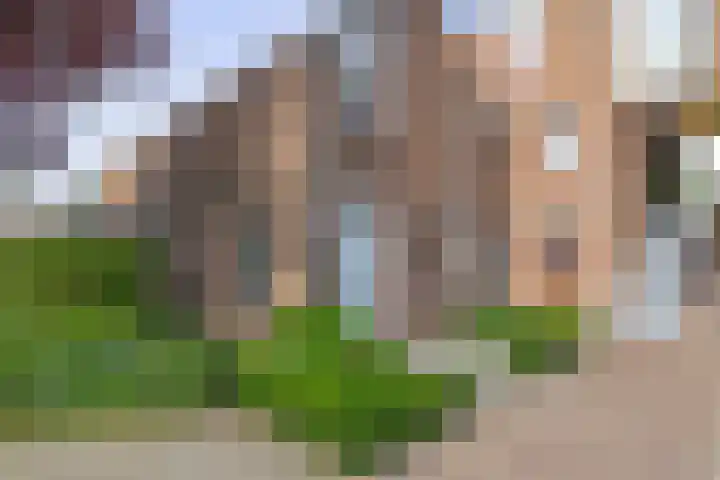Zuiderkruis 1 Lisse thumbnail 43