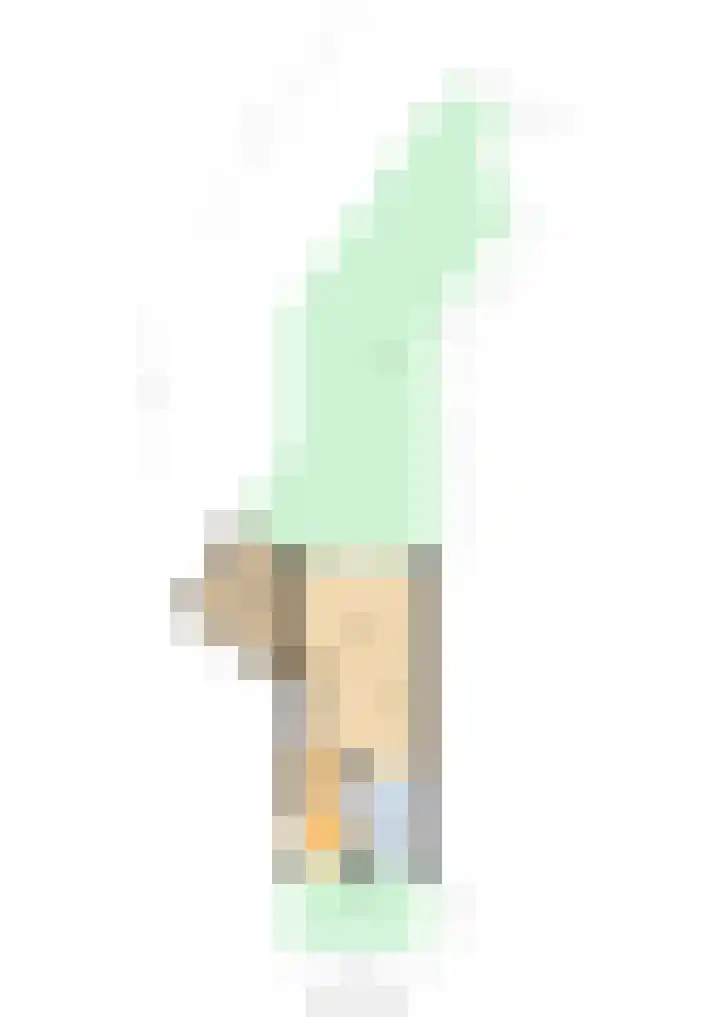Zuiderkruis 1 Lisse thumbnail 47