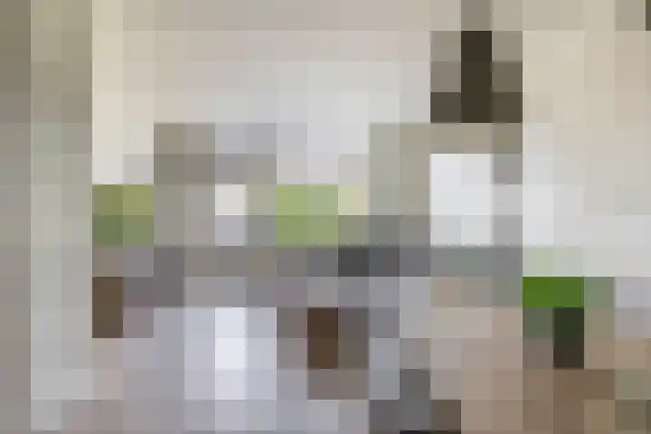 Zuiderkruis 1 Lisse thumbnail 5