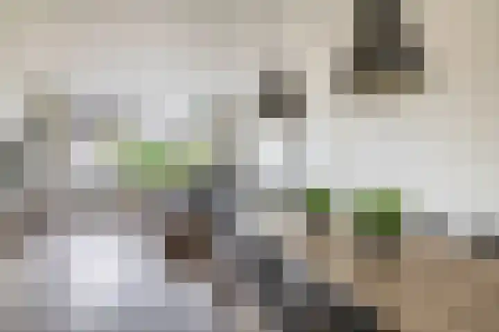 Zuiderkruis 1 Lisse thumbnail 6