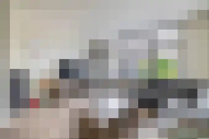 Zuiderkruis 1 Lisse thumbnail 7