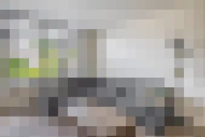 Zuiderkruis 1 Lisse thumbnail 8