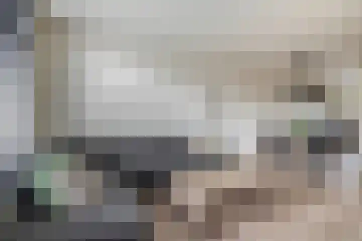 Zuiderkruis 1 Lisse thumbnail 9
