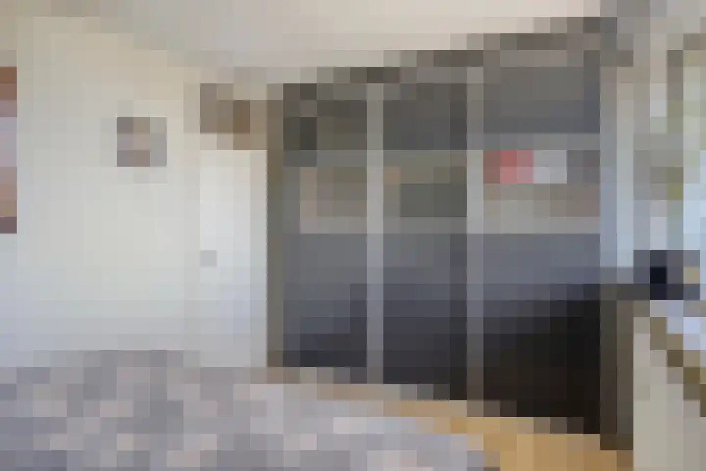 Zuiderkruis 114 Veenendaal thumbnail 13