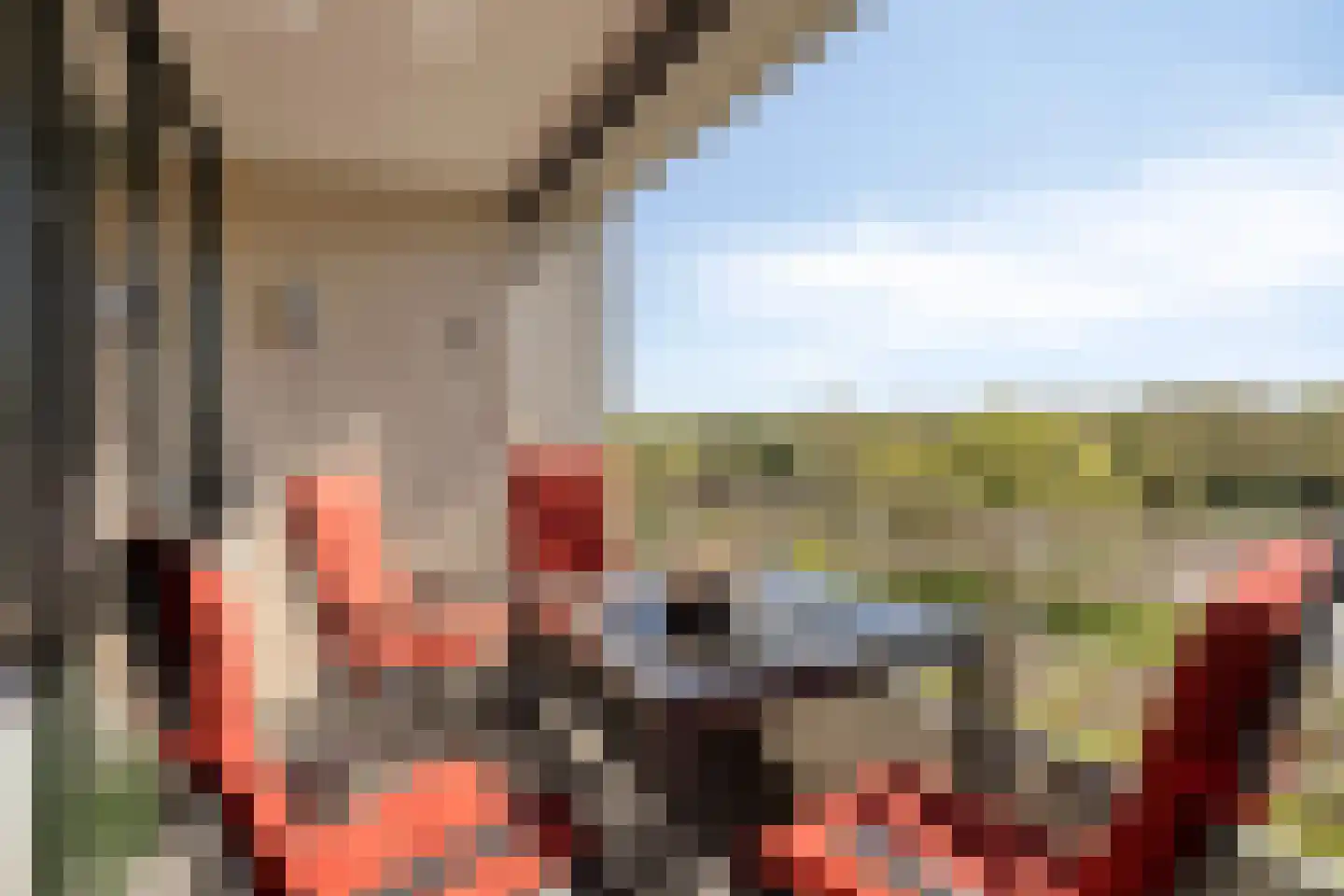 Zuiderkruis 114 Veenendaal thumbnail 18