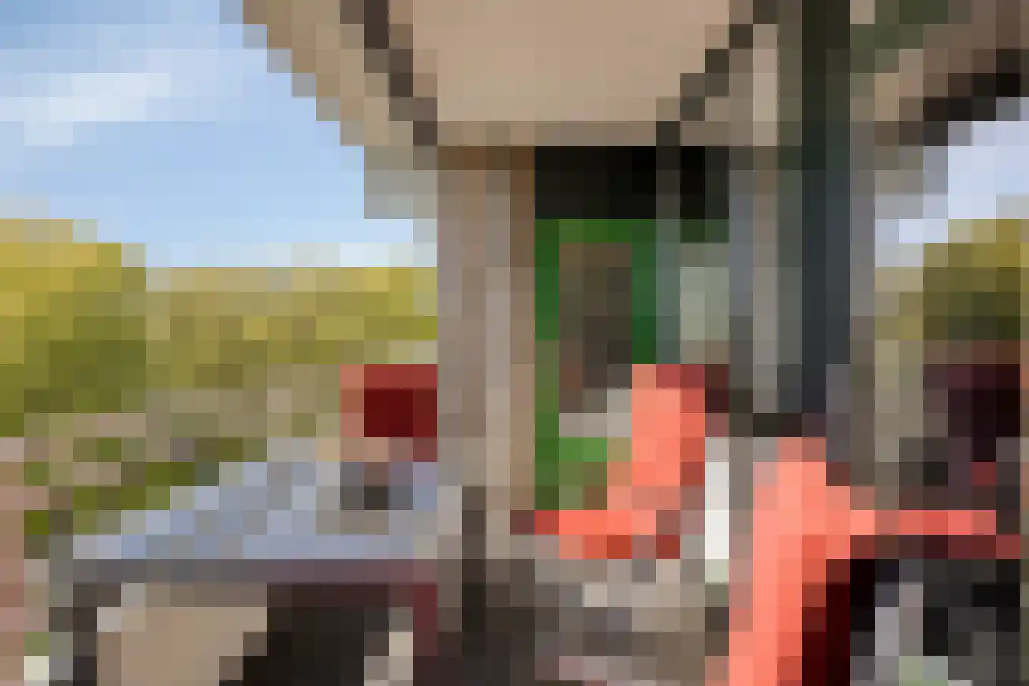 Zuiderkruis 114 Veenendaal thumbnail 19