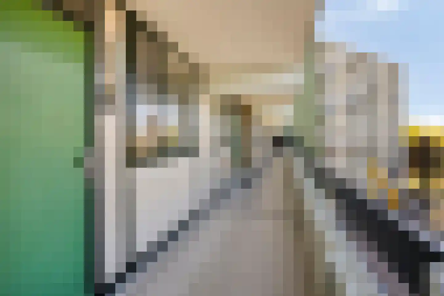 Zuiderkruis 114 Veenendaal thumbnail 22